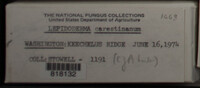 Image Associated With the Occurence